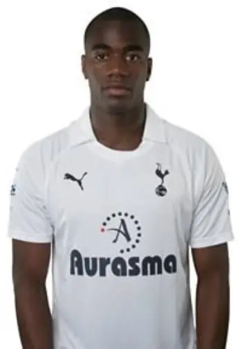 Sébastien Bassong - 2011/12 Headshot