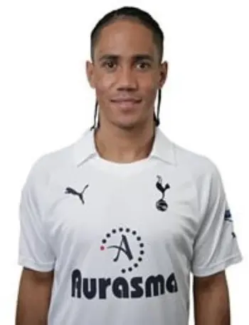 Steven Pienaar - 2011/12 Headshot