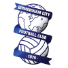 Birmingham city