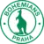Bohemians ÈKD Praha Team Logo