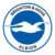 Brighton & Hove Albion Team Logo