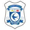 Cardiff city