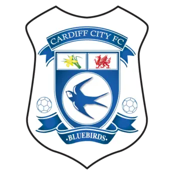 Cardiff city
