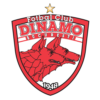 Dinamo bucuresti