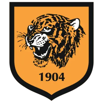 Hull city