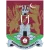 Northampton Town Team Logo