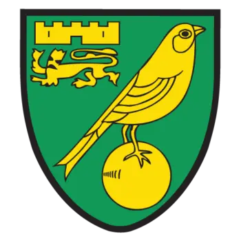 Norwich city