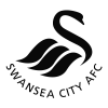 Swansea city