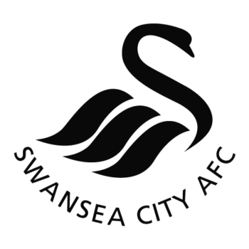 Swansea city