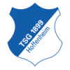 Tsg hoffenheim