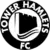 Tower Hamlets Team Logo