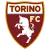 Torino Team Logo
