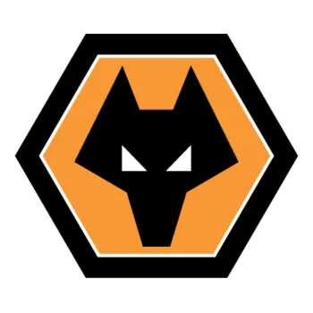 Wolverhampton wanderers